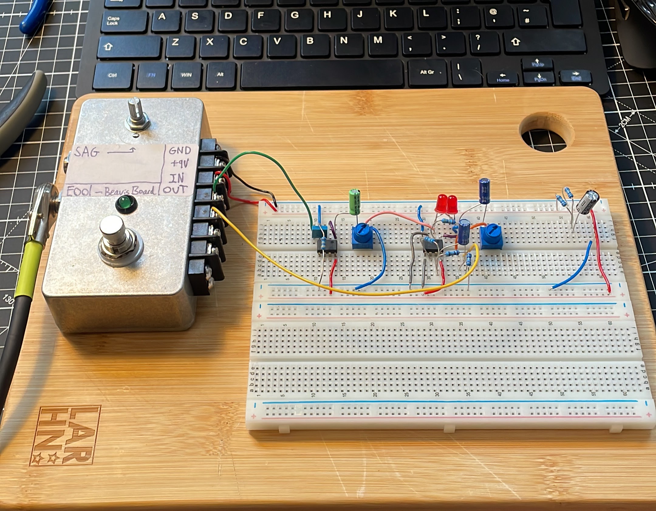 My finished beavis board